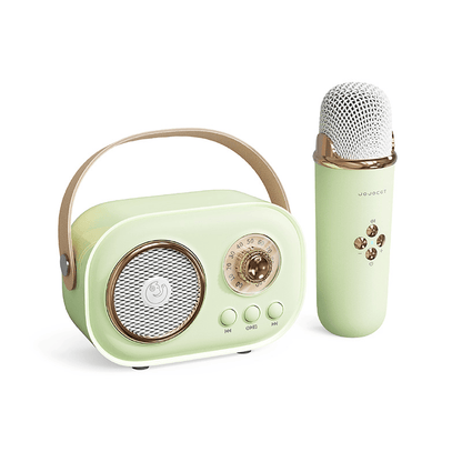 Mini Karaoke Machine Portable Bluetooth Speaker